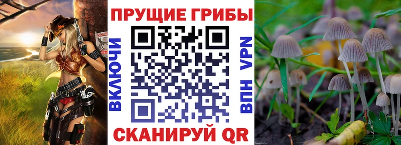 купить наркотик  Крым  Галлюциногенные грибы GOLDEN TEACHER 